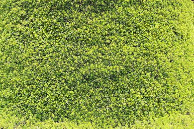 《原神》新角色申鹤演示 性感妹子打怪救人